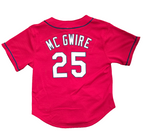 St. Louis Cardinals Mark McGwire Mitchell & Ness Authentic BP jersey