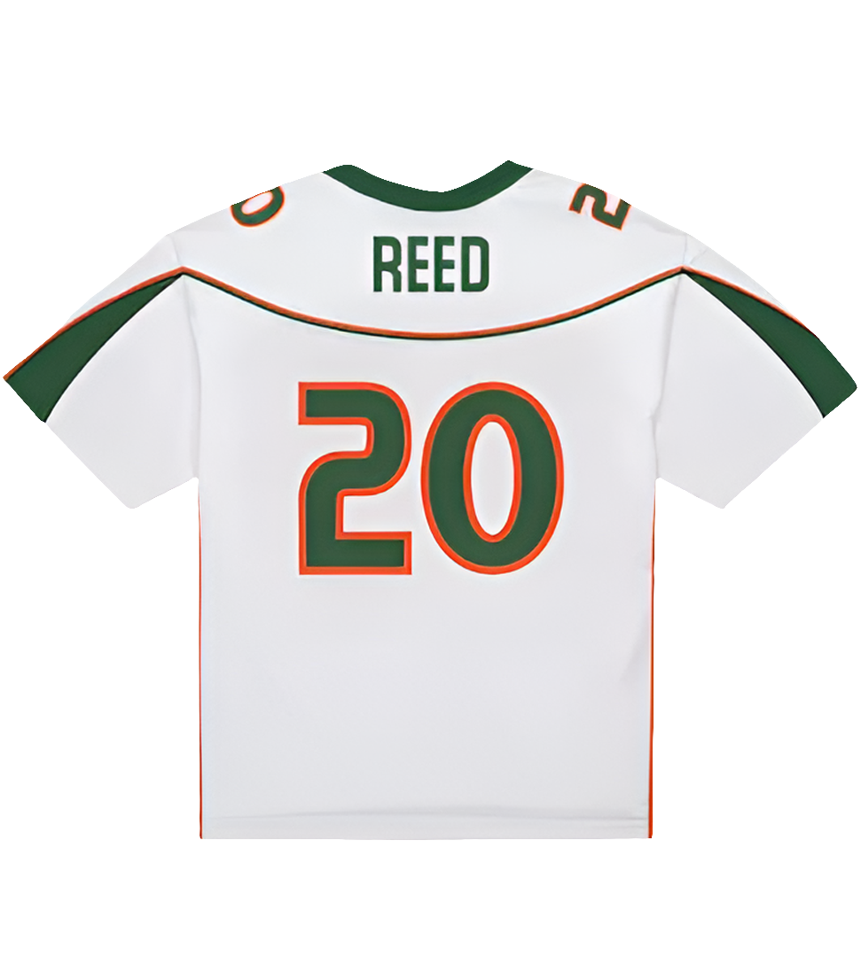 Miami Hurricanes Ed Reed 2001 Mitchell & Ness Collegiate jersey