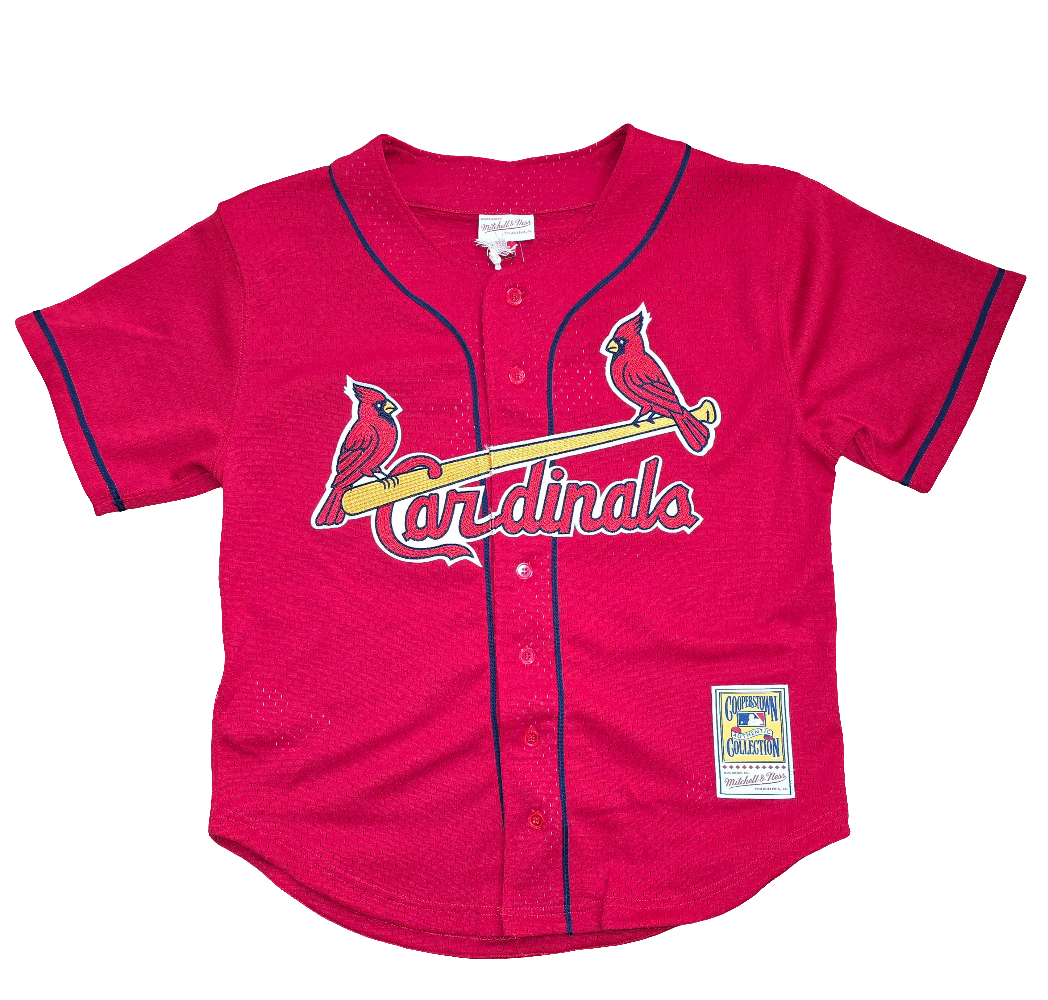St. Louis Cardinals Mark McGwire Mitchell & Ness Authentic BP jersey