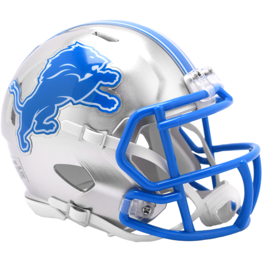 Detroit lions mini helmet