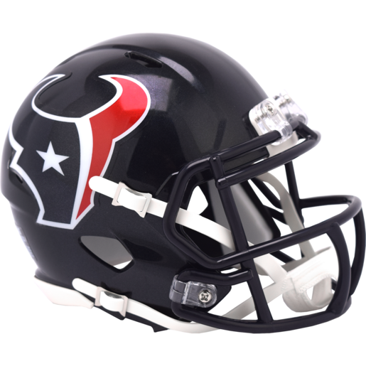 Houston Texans mini helmet