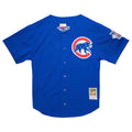 Chicago Cubs Ryne Sandberg Mitchell & Ness authentic BP jersey