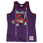 Toronto Raptors Tracy McGrady Mitchell & Ness Swingman jersey