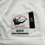 Philadelphia Eagles Brian Westbrook Mitchell & Ness Authentic jersey