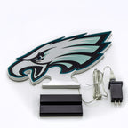 Philadelphia Eagles LED Infinity Logo Light