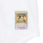 New York Mets Mike Piazza 2001 Mitchell & Ness Authentic jersey
